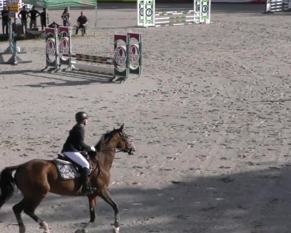 Reitturnier Zeltweg-Farrach 2023