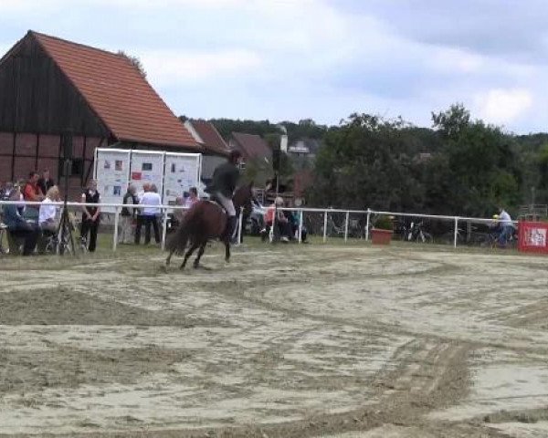 1876 Amelsbüren 2012
