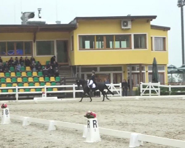 FEI Reitturnier St. Margarethen 2024