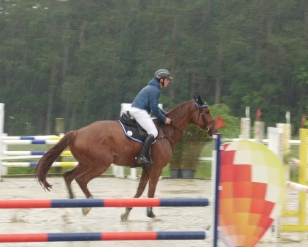 Reitturnier Nordstetten- Horb 2024
