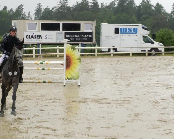 Reitturnier Nordstetten- Horb 2024
