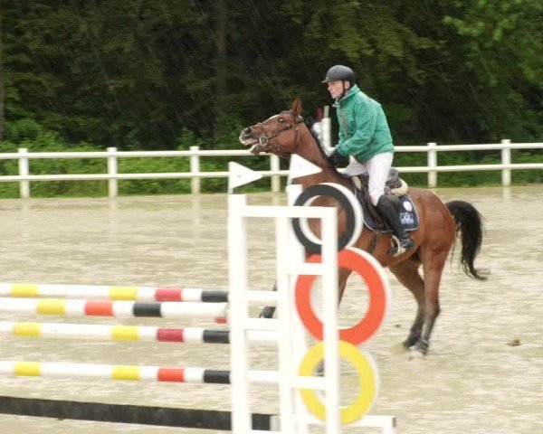 Reitturnier Nordstetten- Horb 2024