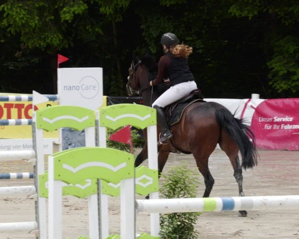 Reitturnier Losheim am See 2024