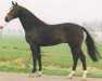 stallion Leggiero (Dutch Warmblood, 1989, from Lorenz)