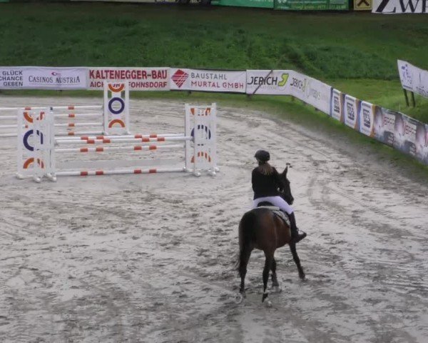 Reitturnier Zeltweg-Farrach 2023