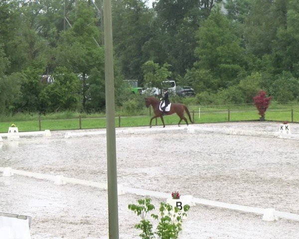 Reitturnier Gossau 2024