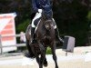 dressage horse Lion 92 (Württemberger, 2006, from Lusano)