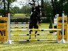 jumper Concros 3 (Holsteiner, 2016, from Connor 48)