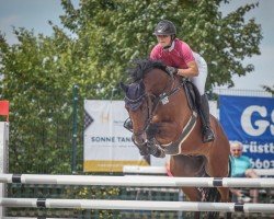 jumper Diablou (German Sport Horse, 2015, from Discar)