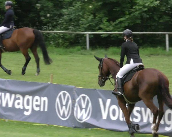 Reitturnier Wolfsburger Klassiker 2024