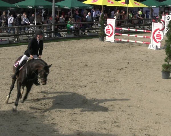 Reitturnier Kirchhellen/Stall Dieckmann 2024
