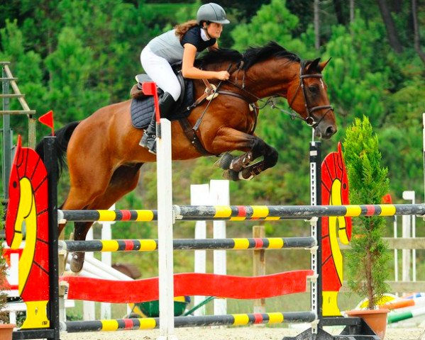 horse Fausto (Belgian Warmblood, 2005, from Leader M)
