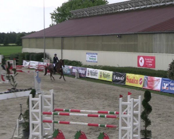 Reitturnier Kirchhellen/Stall Dieckmann 2024