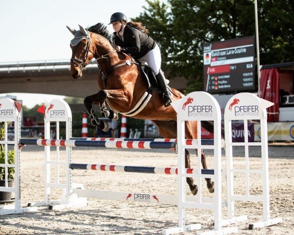 broodmare Larica (Holsteiner, 2018, from Colore)