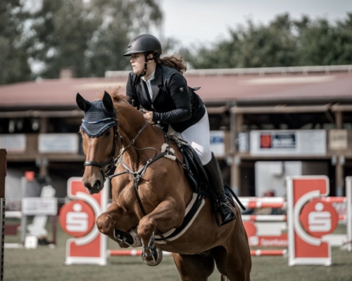 jumper Captain Rudi H (German Sport Horse, 2014, from Captain Sharky)
