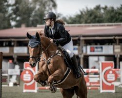 Springpferd Captain Rudi H (Deutsches Sportpferd, 2014, von Captain Sharky)