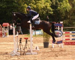 jumper Calliano 2 (Hanoverian, 2008, from Helenenhof's Carabas)