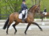 dressage horse Rigaudon Tyme (Oldenburg, 2004, from Rosario 37)