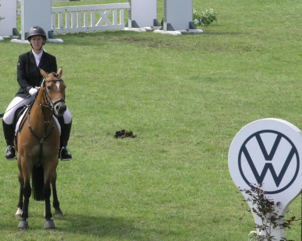 Reitturnier Wolfsburger Klassiker 2024