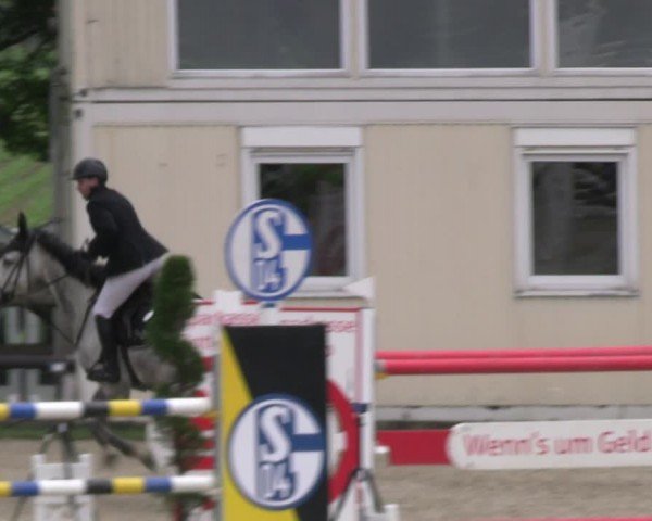 Reitturnier Kirchhellen/Stall Dieckmann 2024