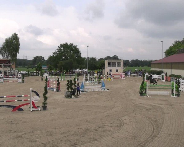 Reitturnier Kirchhellen/Stall Dieckmann 2024