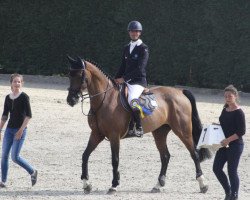 jumper Cupido (KWPN (Royal Dutch Sporthorse), 2007, from L'Esprit)