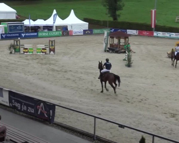 Reitturnier Piber 2023
