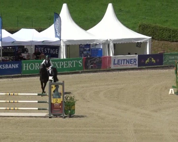 Reitturnier Piber 2023