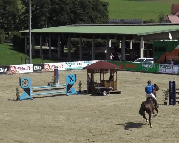 Reitturnier Piber 2023