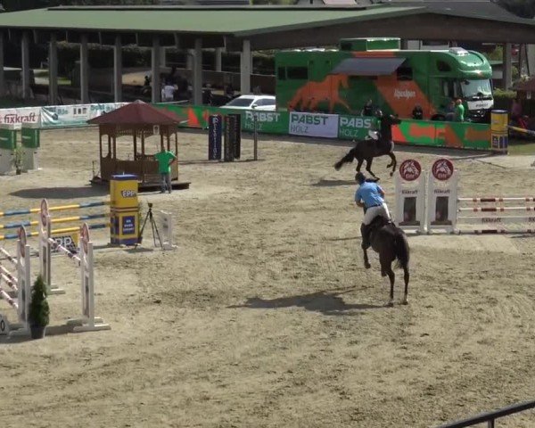 Reitturnier Piber 2023