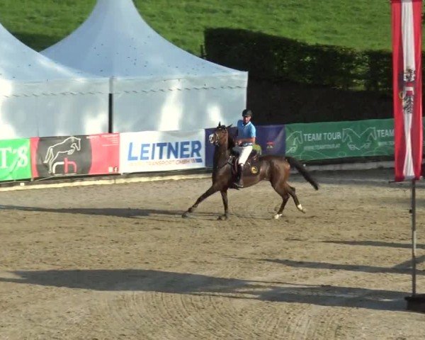 Reitturnier Piber 2023