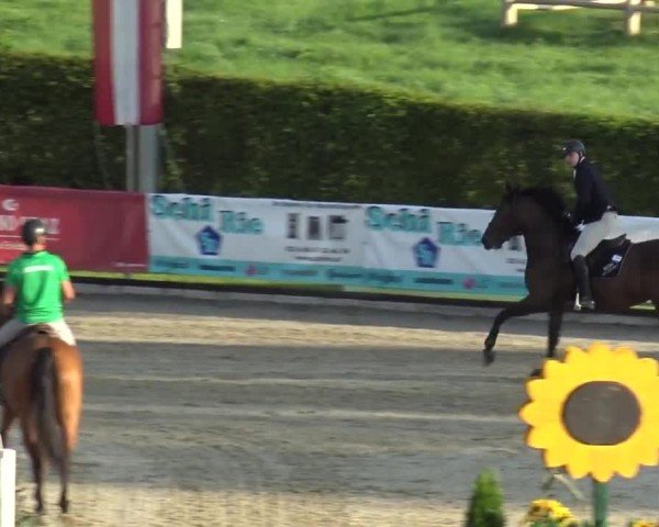 Reitturnier Piber 2023