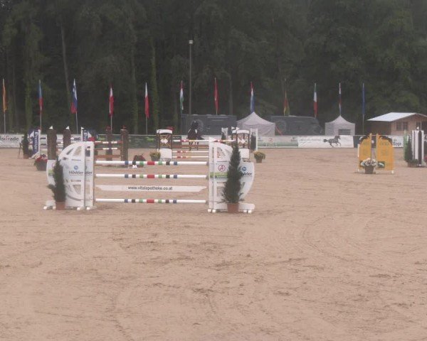 Reitturnier Ranshofen - Braunau am Inn 2024