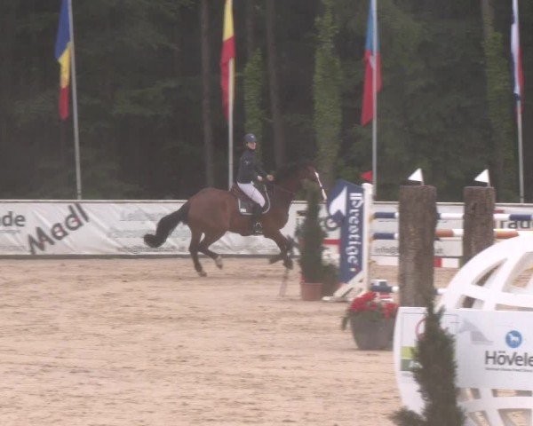 Reitturnier Ranshofen - Braunau am Inn 2024