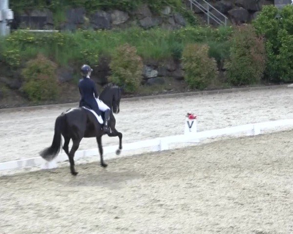 FEI Reitturnier St. Margarethen 2024