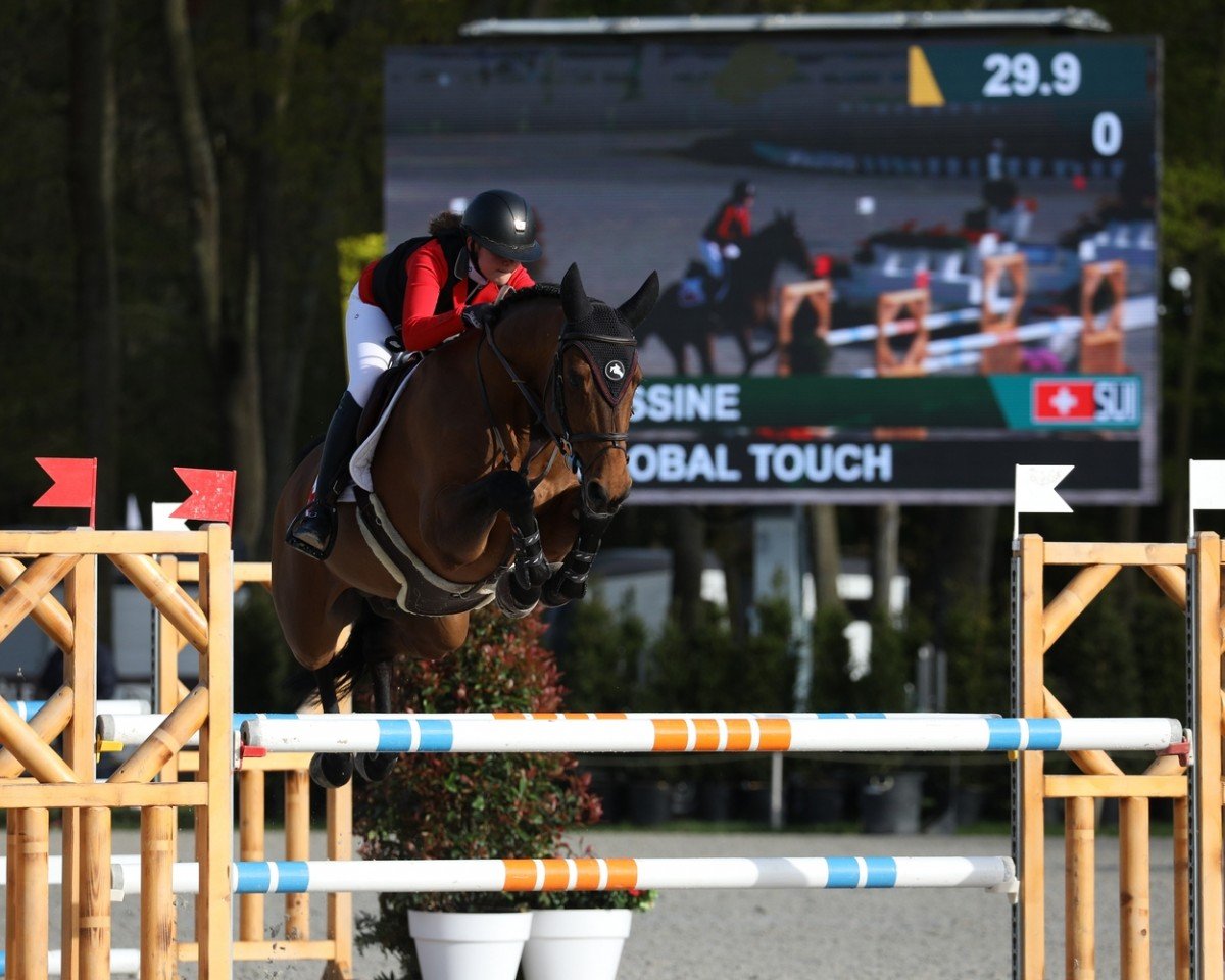 Deckhengst Global Touch (Westfale, 2015, von Global Express)
