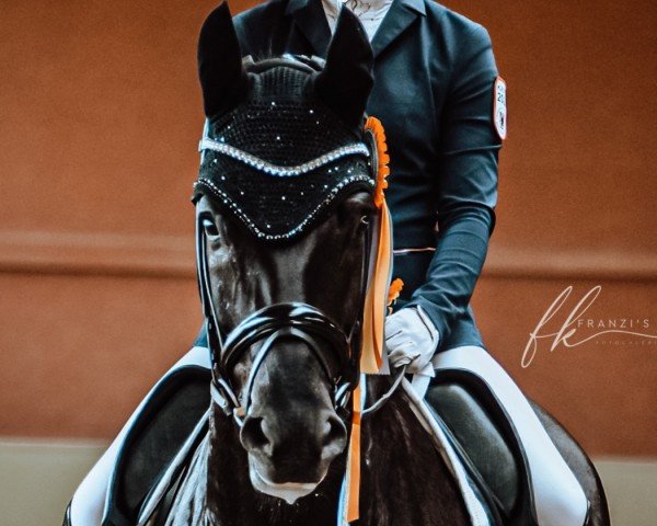 dressage horse Friedrichshagen (German Sport Horse, 2016, from Fürsten-Look)