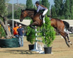 broodmare Zalina H (KWPN (Royal Dutch Sporthorse), 2004, from Mermus R)