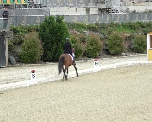 FEI Reitturnier St. Margarethen 2024