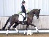 dressage horse Florina S 4 (Westphalian, 2017, from Frascino)