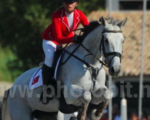 Zuchtstute Dartelle van Bekenhof (Belgisches Warmblut, 2003, von Canadian River)