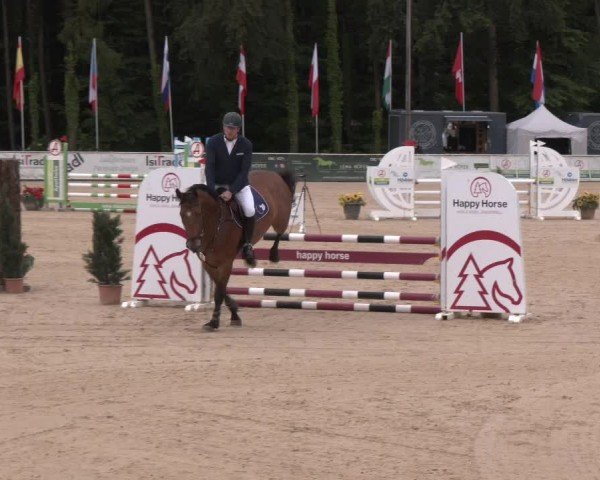 Reitturnier Ranshofen - Braunau am Inn 2024