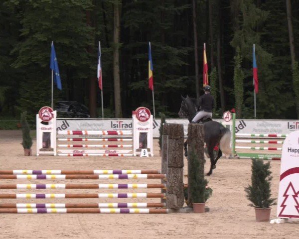 Reitturnier Ranshofen - Braunau am Inn 2024