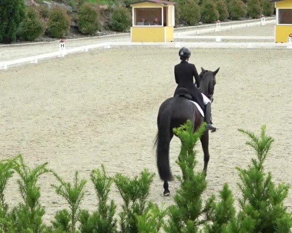 FEI Reitturnier St. Margarethen 2024