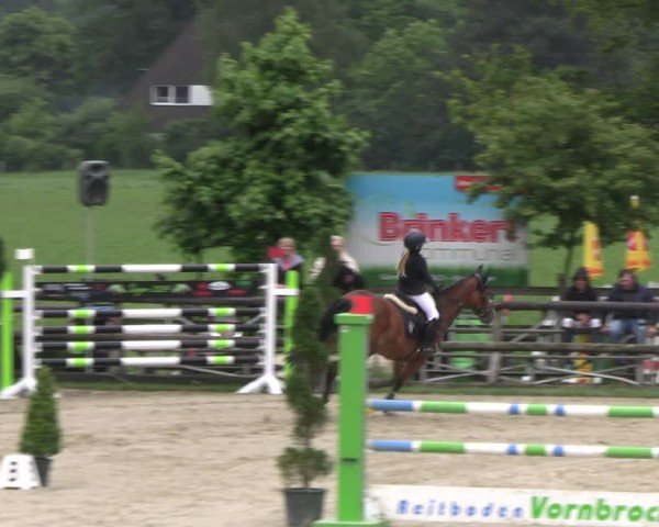 Reitturnier Kirchhellen/Stall Dieckmann 2024