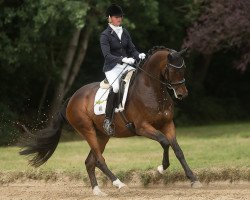 broodmare Calla 50 (Trakehner, 2013, from Herakles TSF)