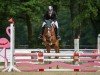 dressage horse Casjopaja 5 (German Riding Pony, 2015, from Top Christobell)