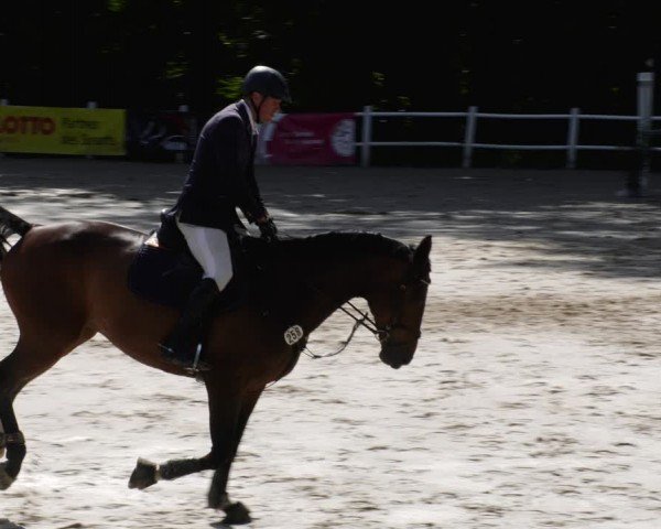 Reitturnier Losheim am See 2024