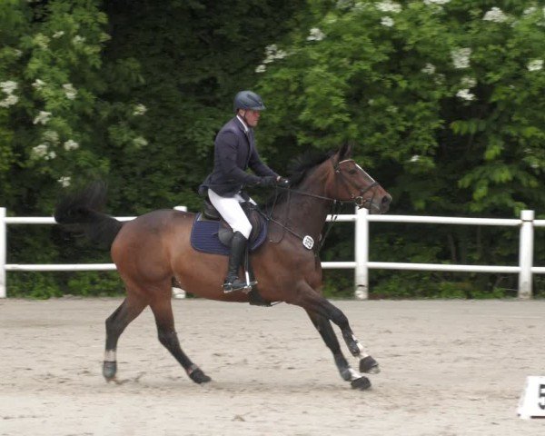 Reitturnier Losheim am See 2024