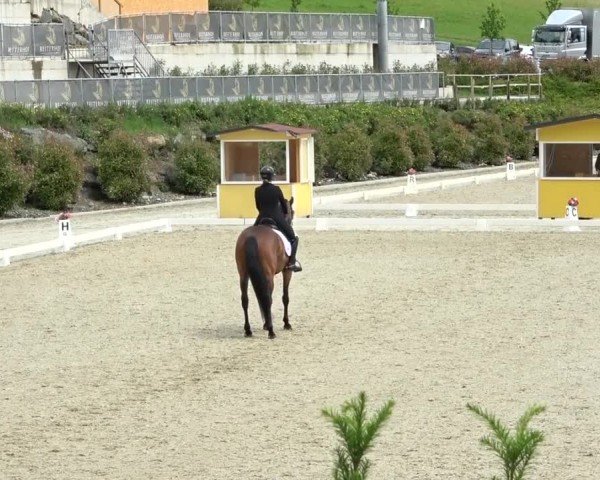 FEI Reitturnier St. Margarethen 2024